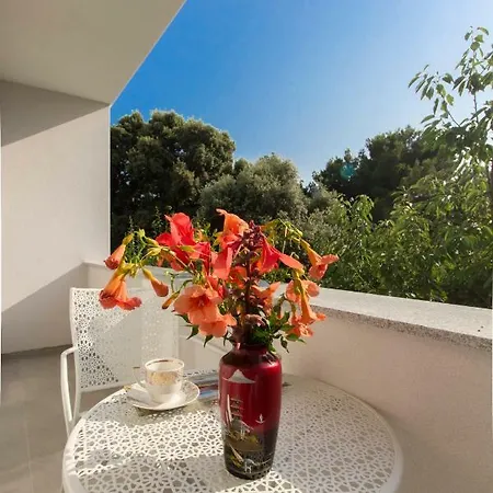 Milena Villa *